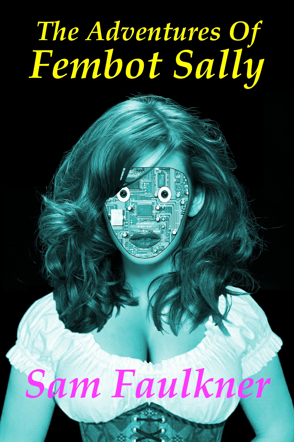 The Adventures Of Fembot Sally